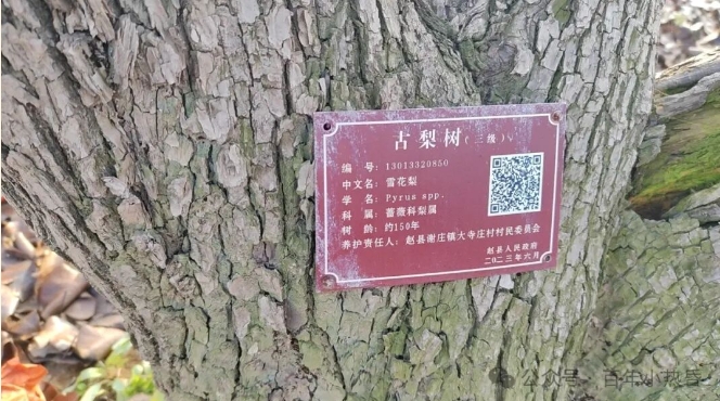 微信截图_20250924140557.png